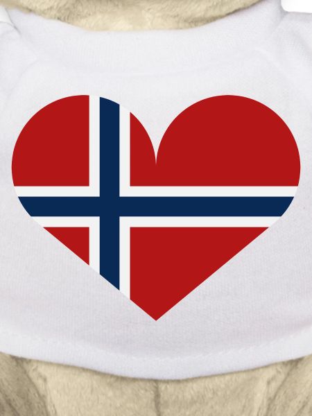 Norway heart flag