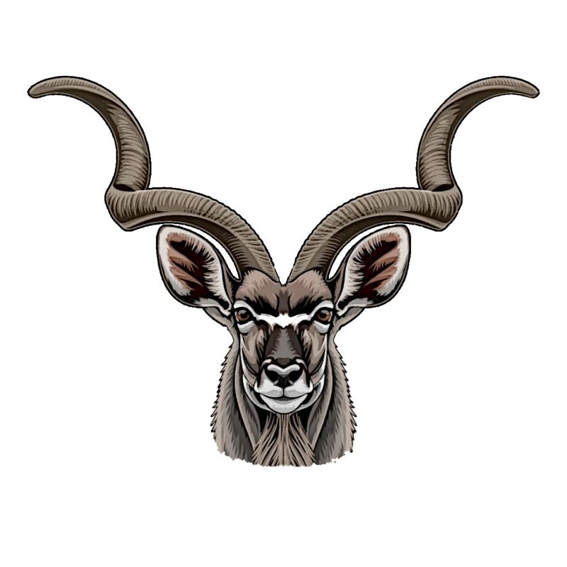 kudu antilope