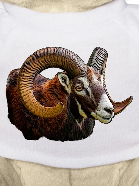 Mufflon Kopf mit farbigem Horn Design