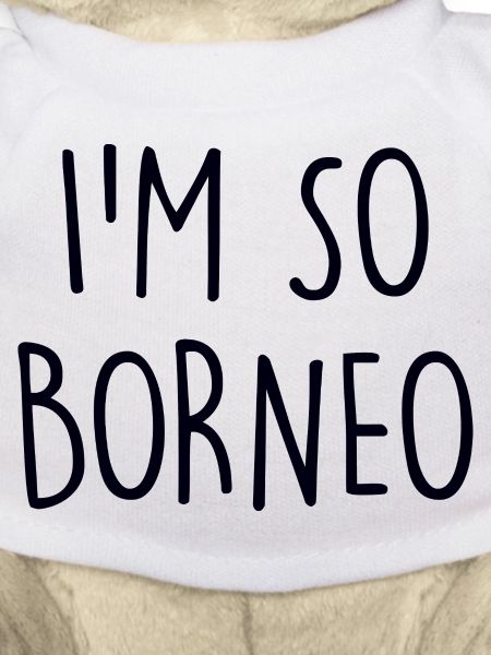 Borneo 