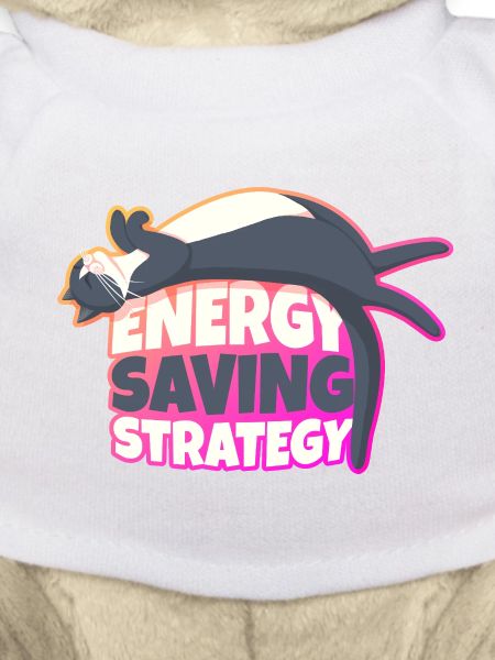 Energy Saving Strategy Cat