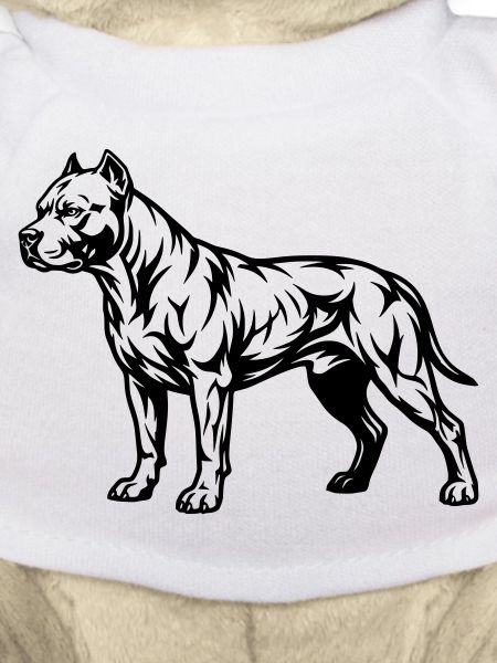 Staffordshire staff