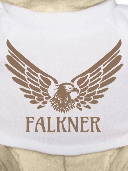 Falconer Eagle Falcon Falconry Gift