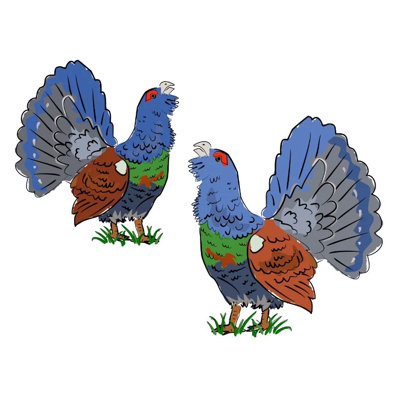 Faszinierende Auerhahn-Duo-Illustration