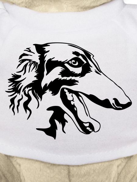 Borzoi head