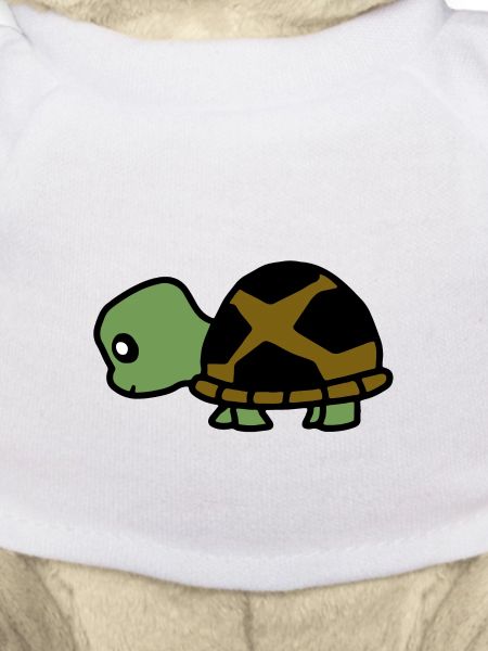 animal turtle 4