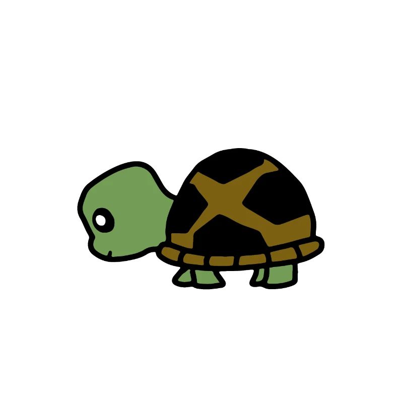animal turtle 4
