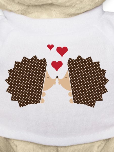 Hedgehog and love