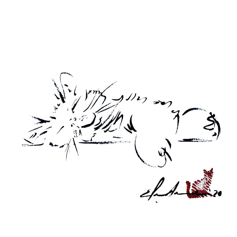 SLEEPING CAT