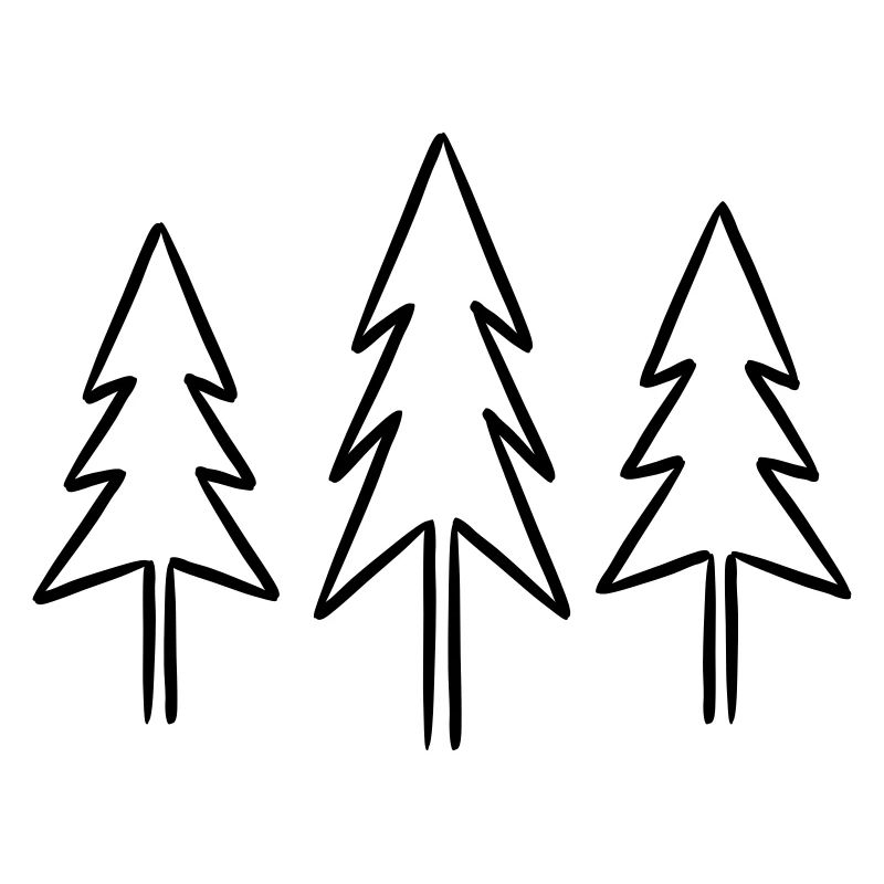 Fir fir trees forest Christmas Advent
