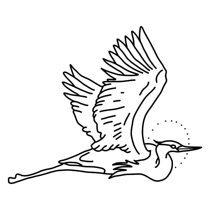 stork