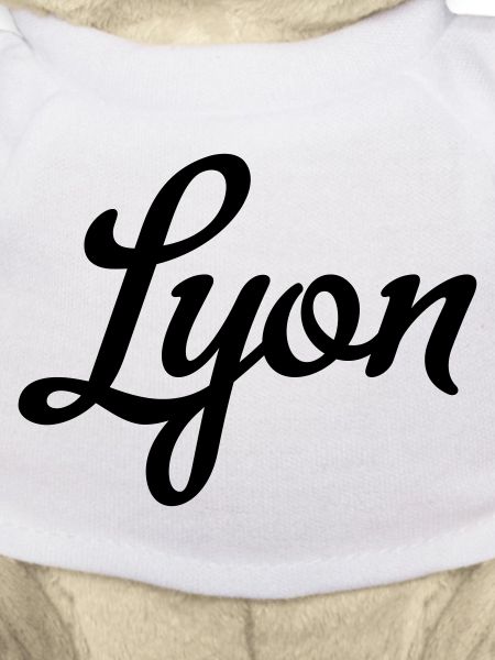 Lyon