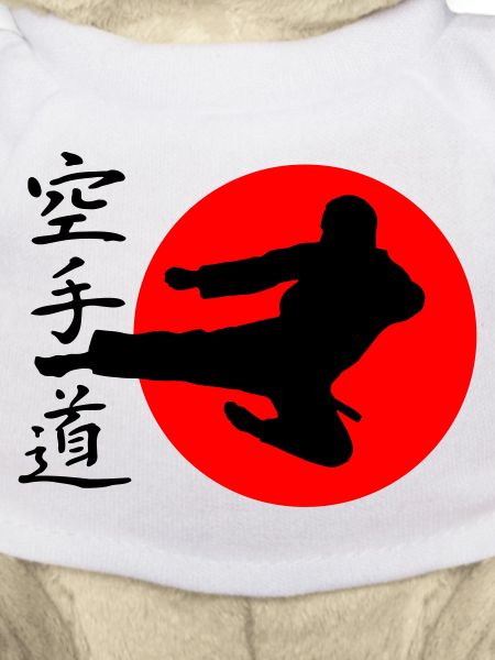 Karate Yokotobigeri