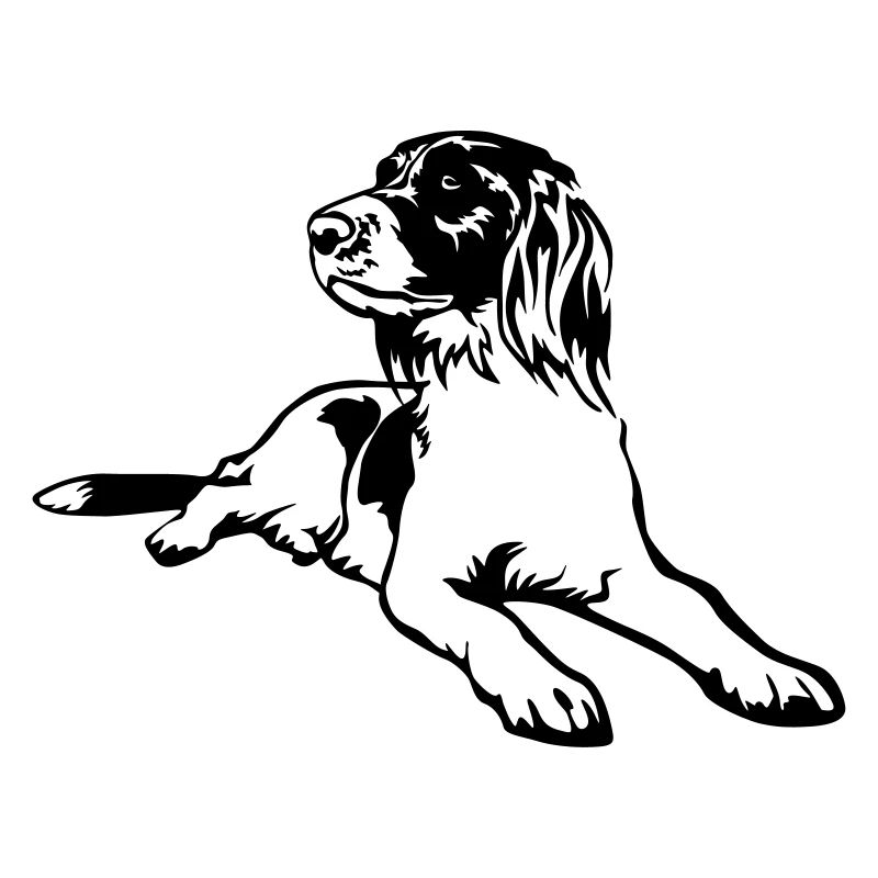 Münsterländer
