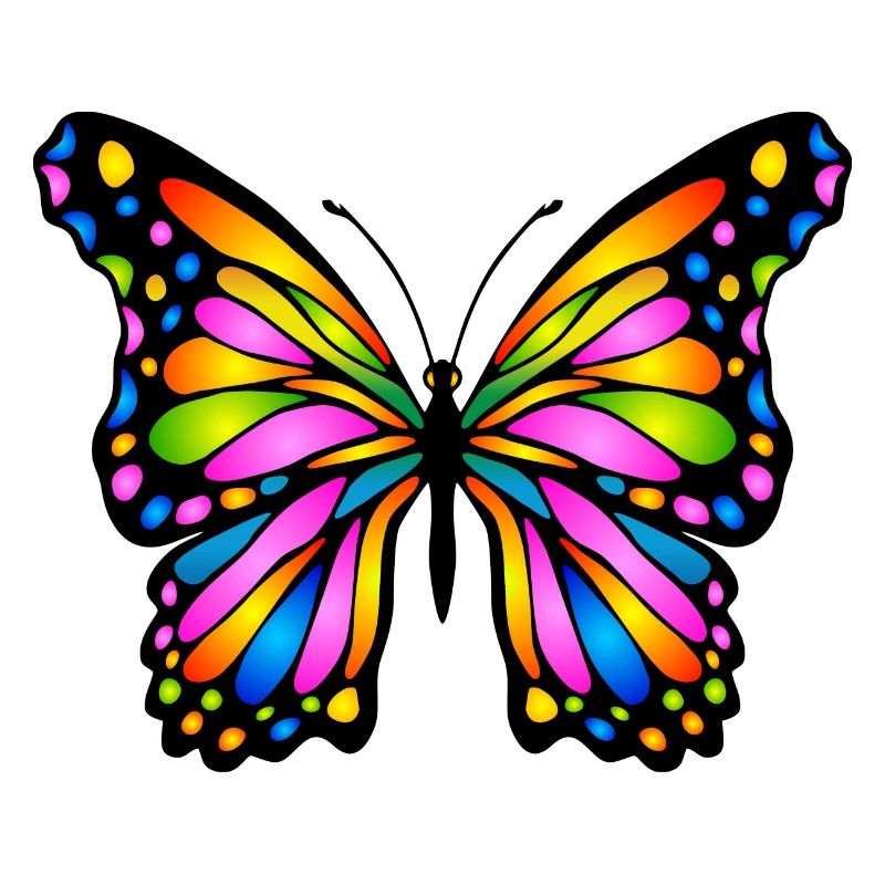 Schmetterling