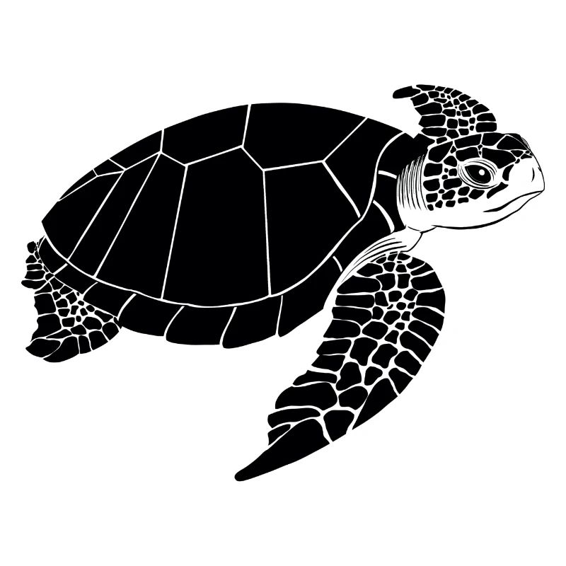 Turtle Black & White