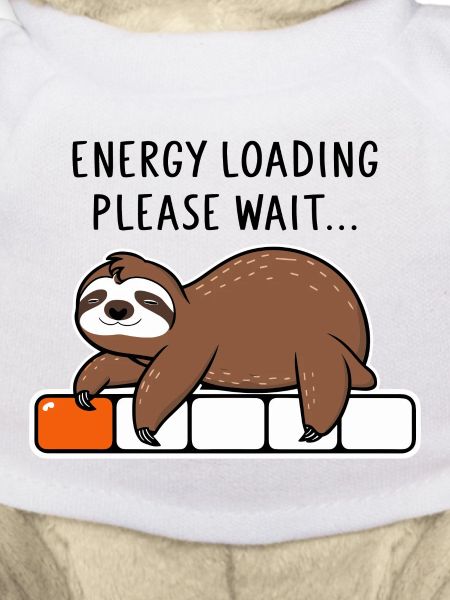 Faultier Energy Loading Please Wait