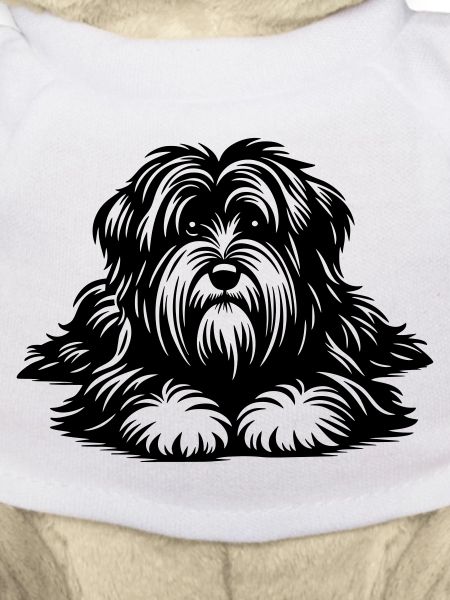 Tibetan Terrier
