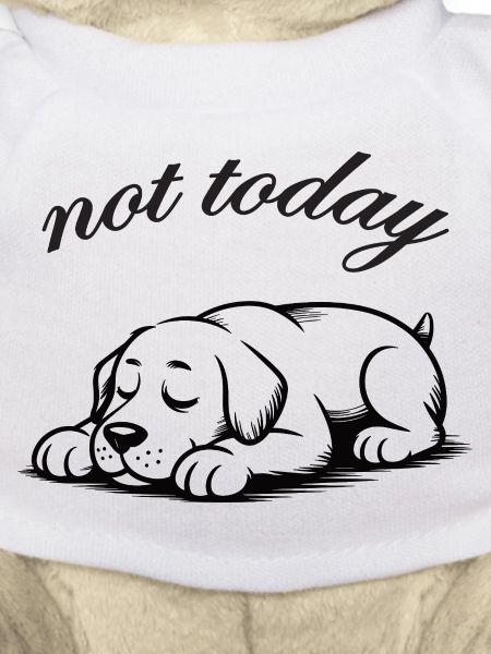 Nicht Heute labrador retriver Schlummer