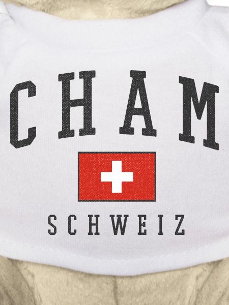 Style du drapeau suisse cham