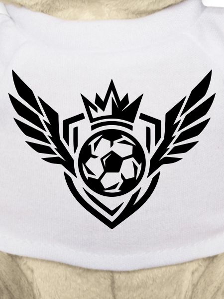 Fussball Wappen
