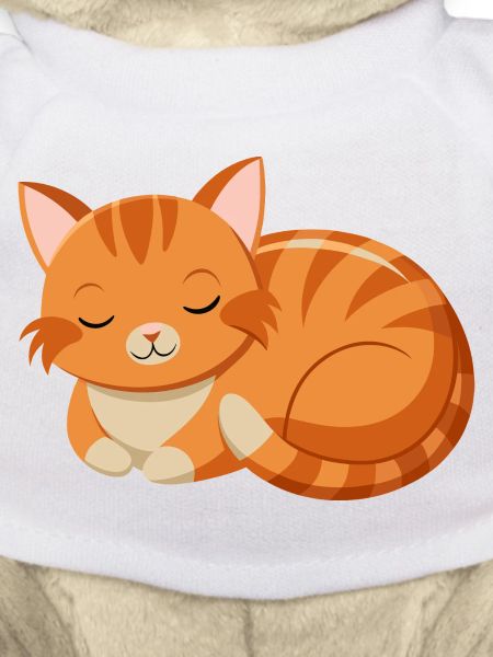 Cute sleeping cat