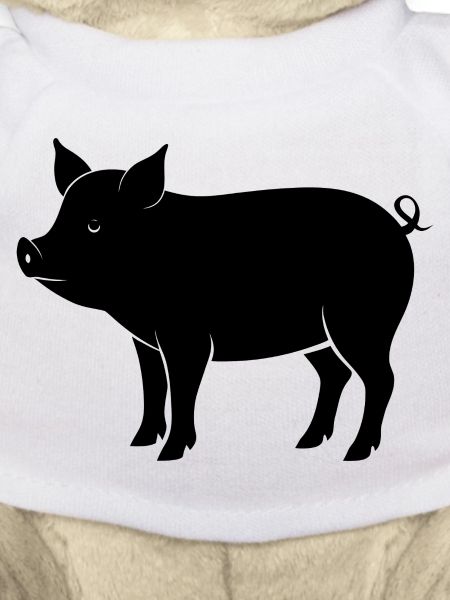 pig