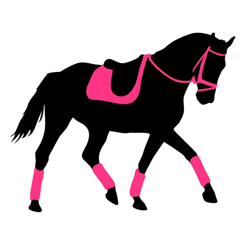 Dressurpferd Pferd