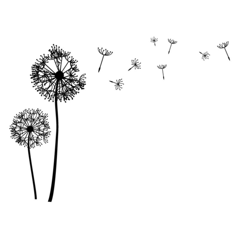 Beautiful dandelion dandelion