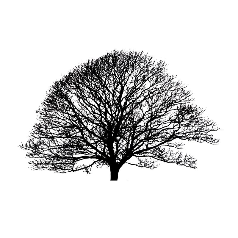 Shadow_no logo