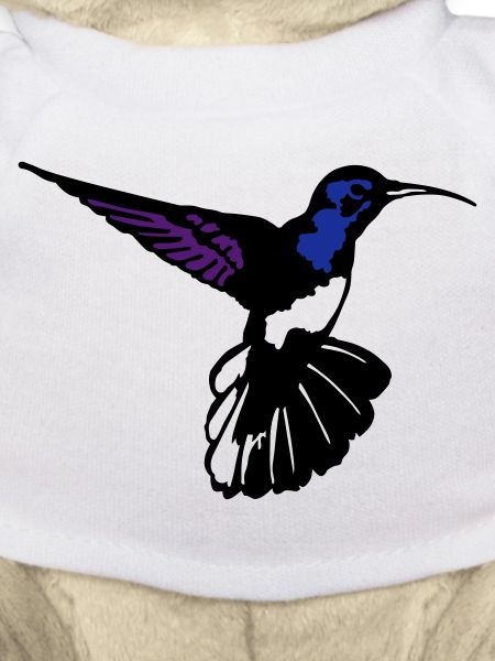 colibri