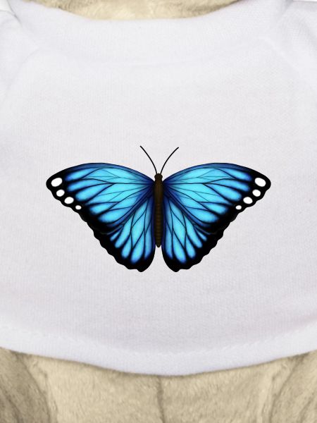 blue butterfly