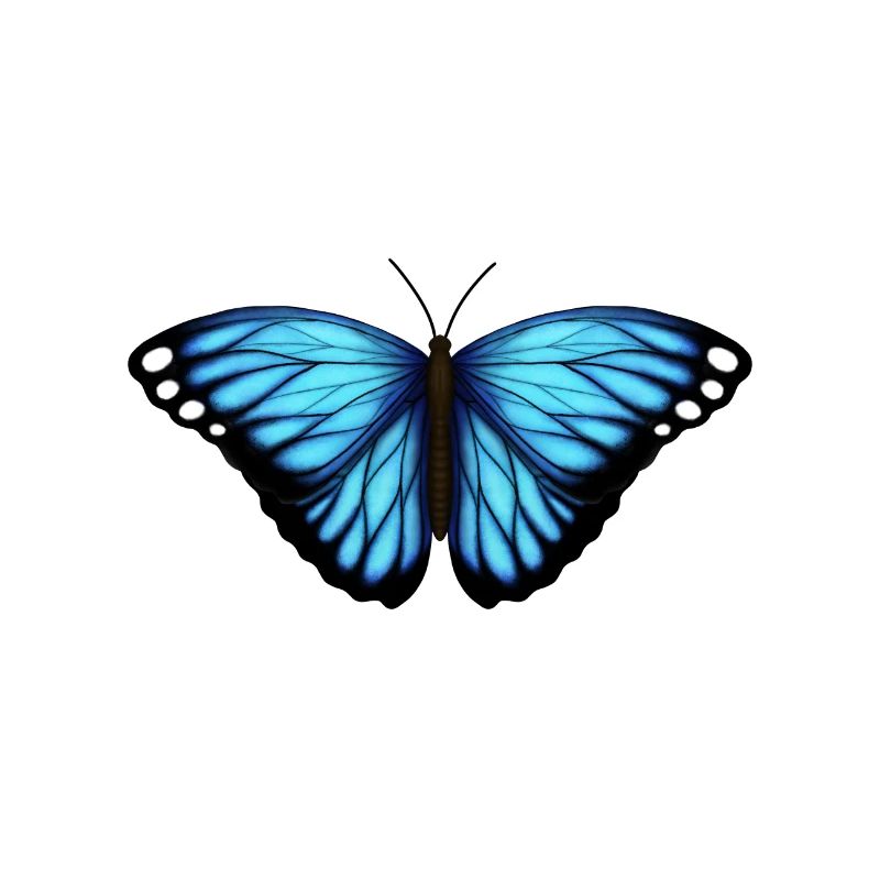 papillon bleu