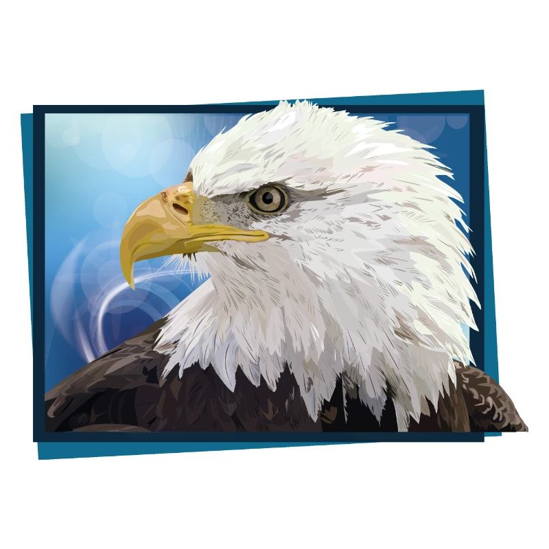 Bald eagle
