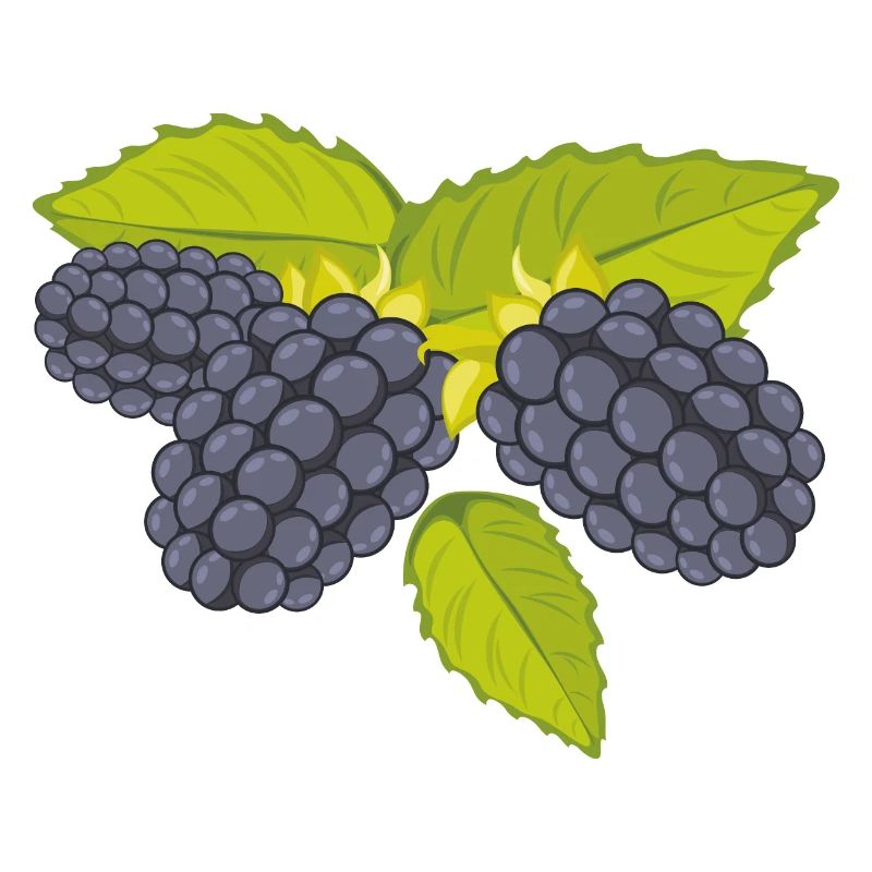 Brombeere