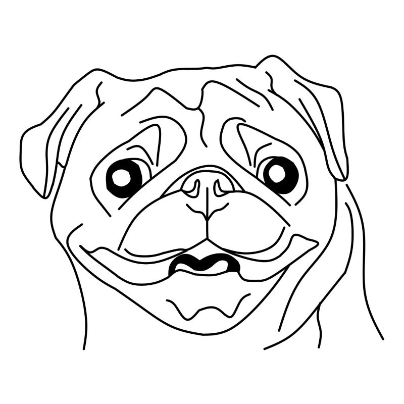 Pug Face - Le compagnon mignon