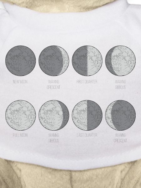 Monochrome Moon Phases Grid