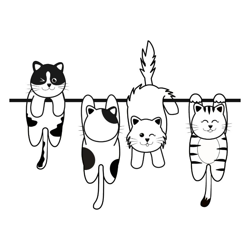 Chat de lessive