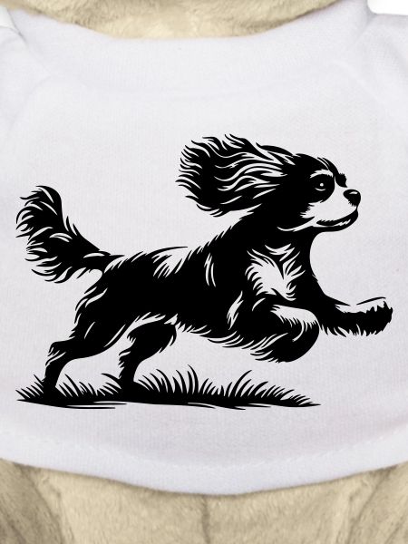 Cavalier King Charles Spaniel