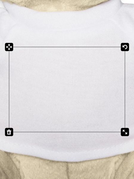 Motif field