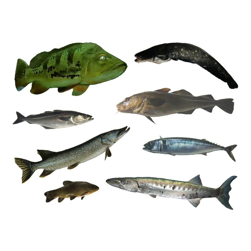 Poissons