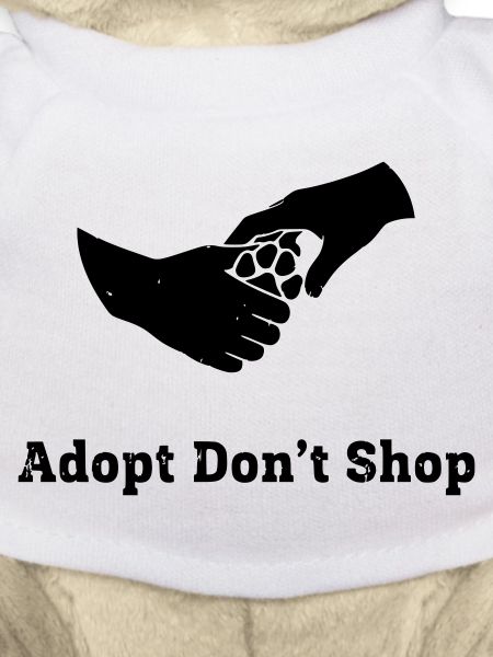 Adopt Dont Shop Pfote Faust Check