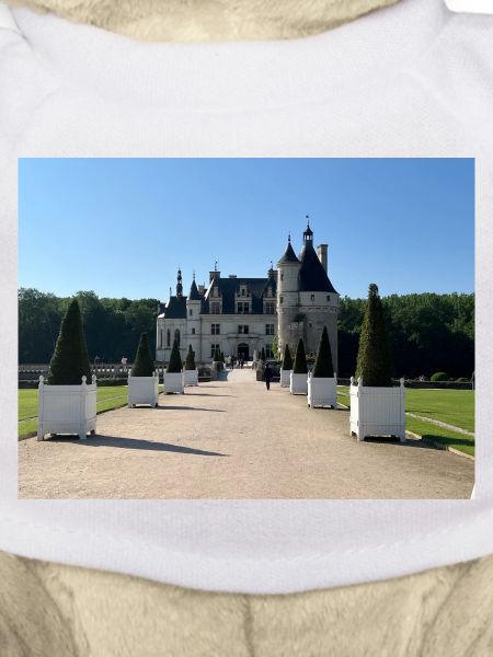 Castle of Chenonceau