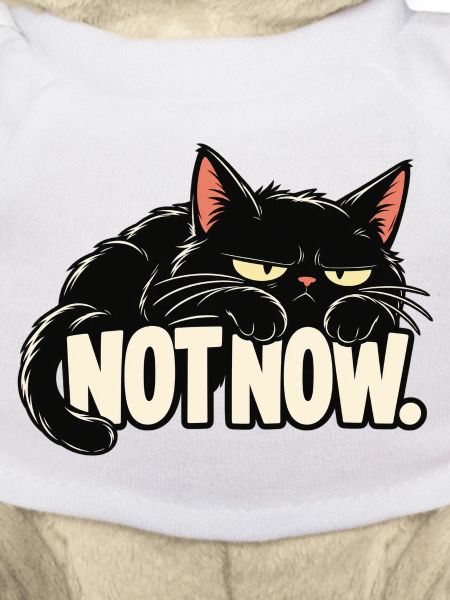 Nicht jetzt, Katze