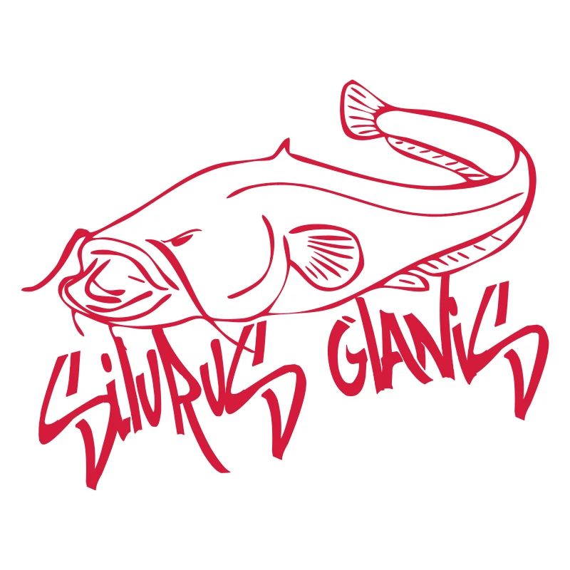silurus glanis1