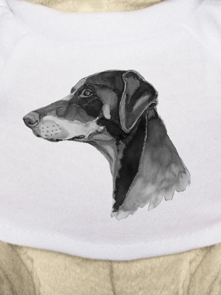Doberman Pincher