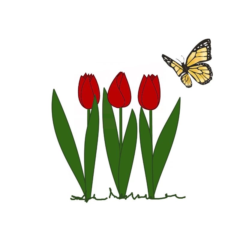 Tulips and butterfly, spring
