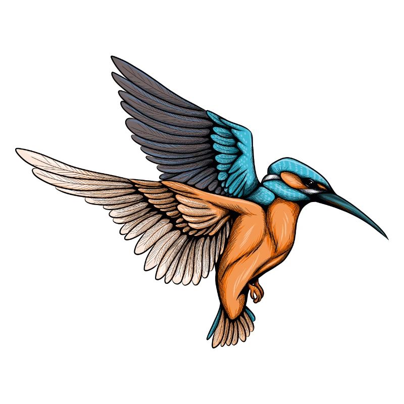 Eisvogel