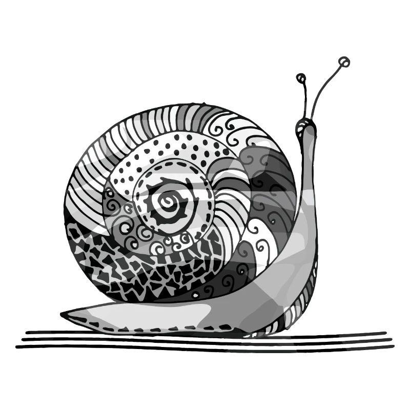 Schnecke