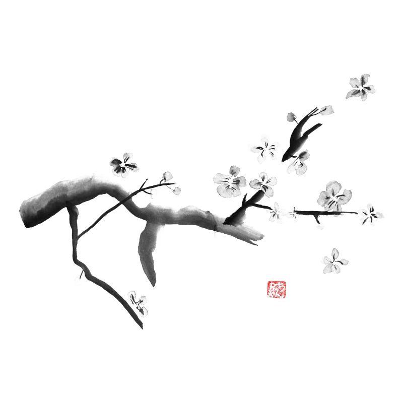 Sakura, cherry blossoms